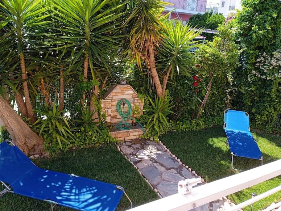 The Sunny House *